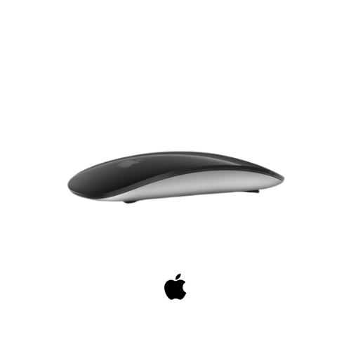 Apple Magic Mouse Gris Espacial